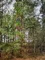 60 Olin Goode Drive - Photo 3