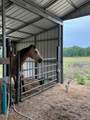 6880 Bloomville Road - Photo 12