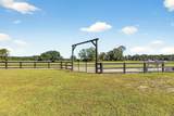 294 Nates Store Road - Photo 6