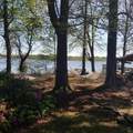 1345 Holland Road - Photo 18
