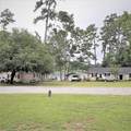1605 Lesesne Drive - Photo 3