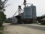 3970 Camden Highway - Photo 30