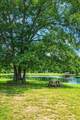 2642 Francis Marion Boulevard - Photo 4