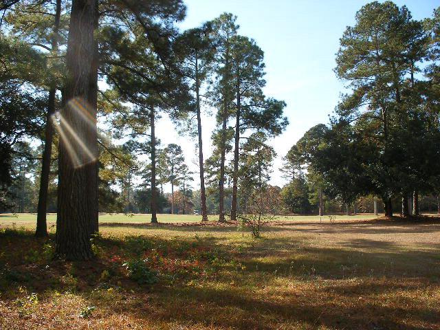140 Saluda Dr - Photo 1