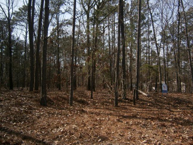 01 Lot 23 - Photo 1