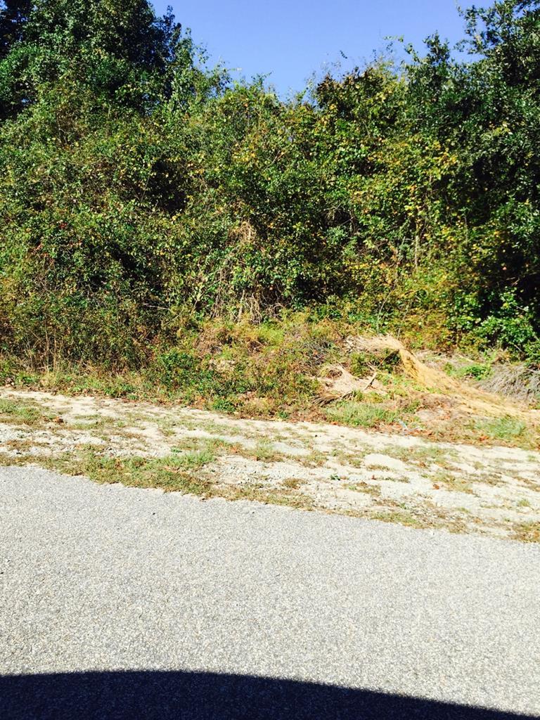 0 Wesmark Blvd - Photo 1
