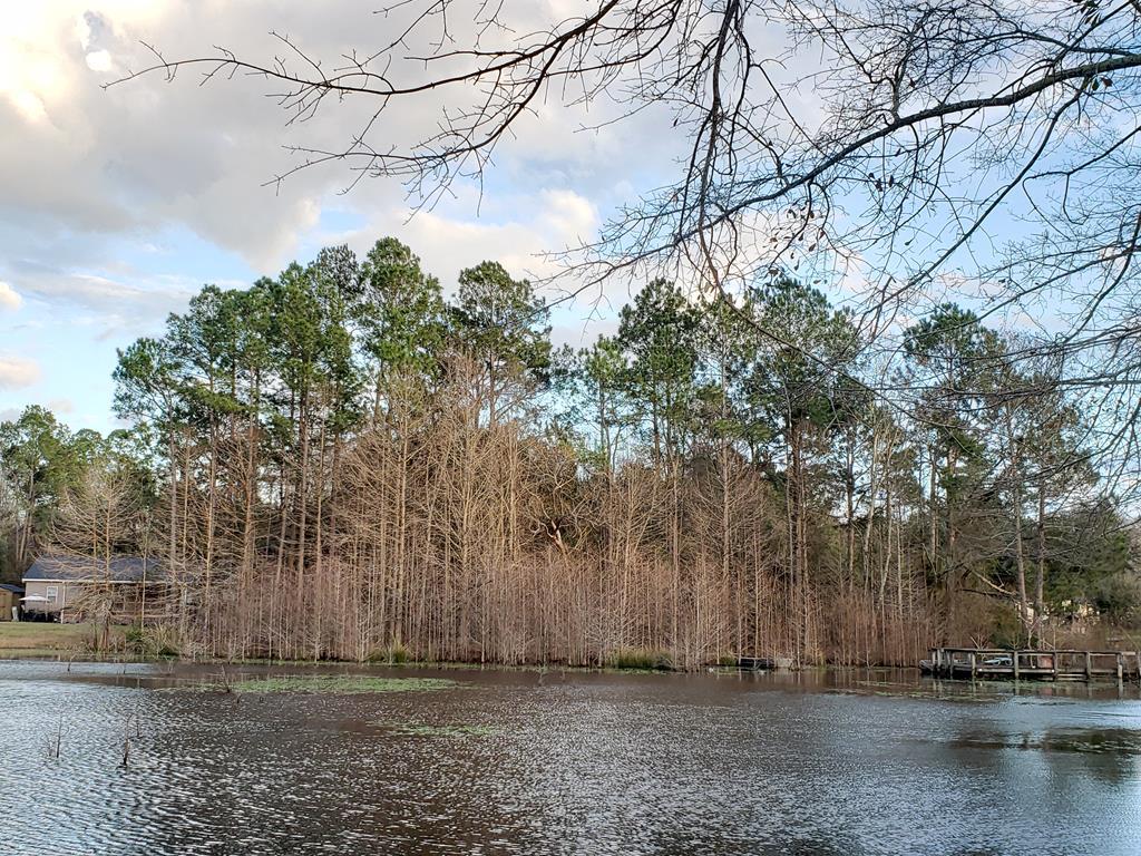 TBD Fountain Lake Drive - Photo 1