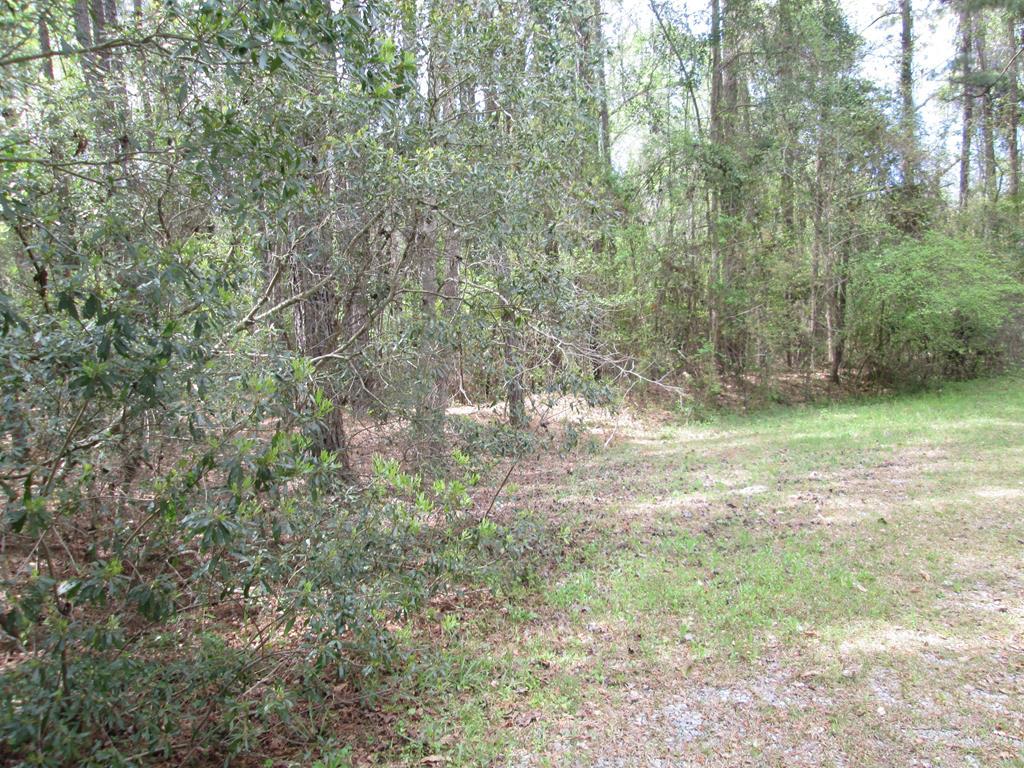 00 Wild Wood Lane - Photo 1
