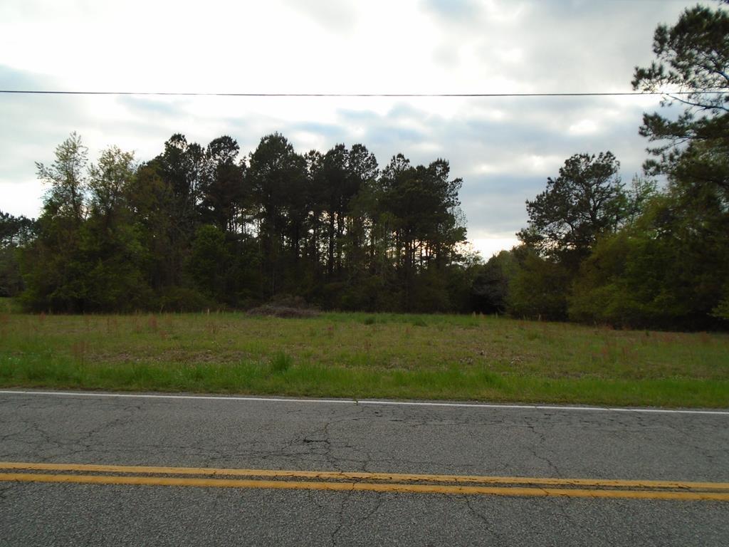 tbd Bloomville Hwy - Photo 1