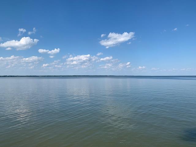 Lot 2A Lake Marion Lane - Photo 1