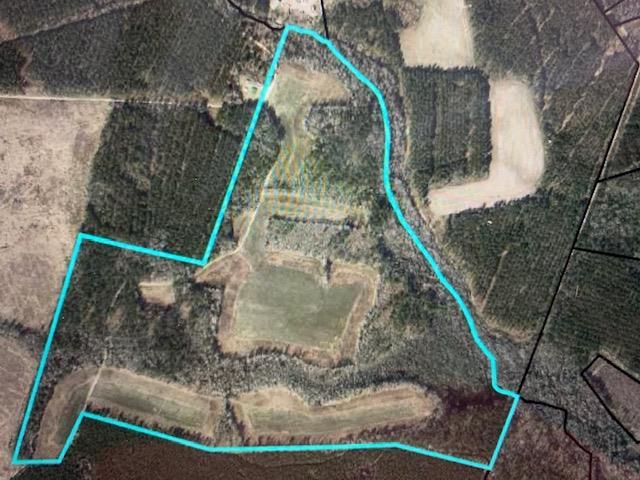 Richman Farm Tract(140 Aces) - Photo 1