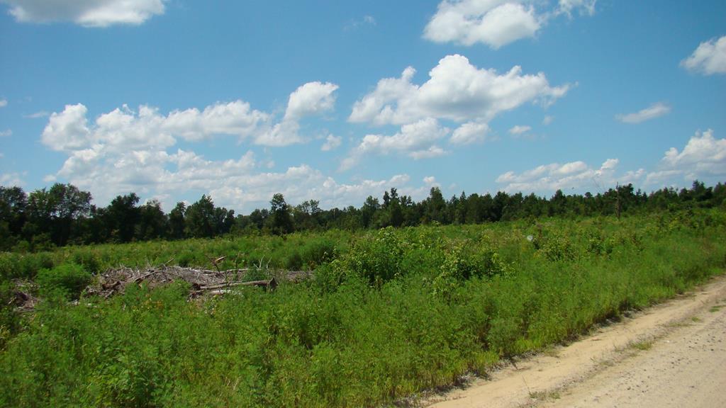 00 Hwy. 6 - Photo 1