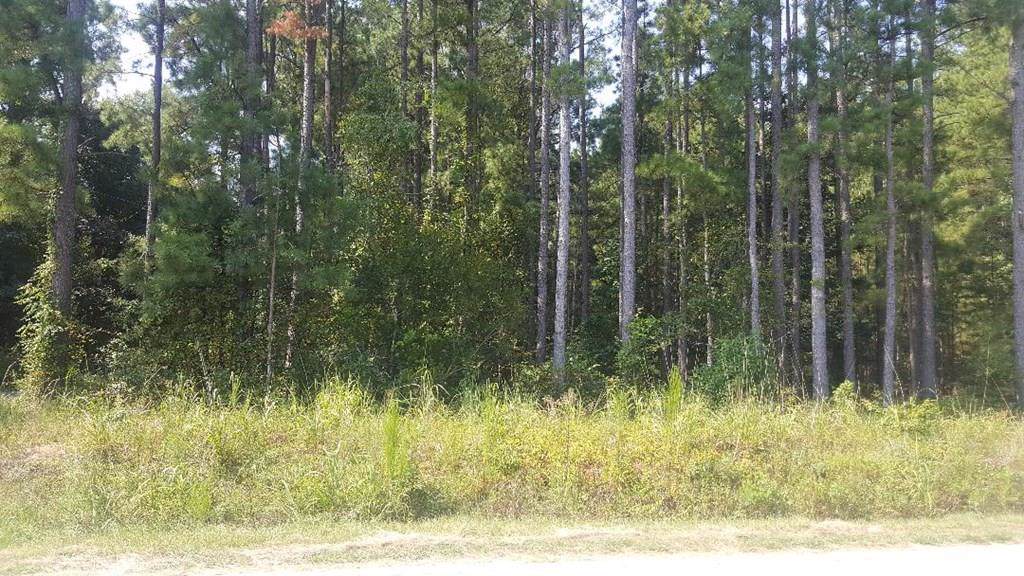 2171 Bishopville Hwy - Photo 1