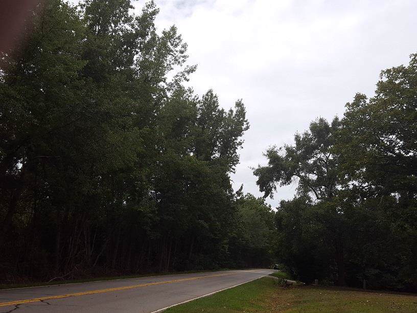 4620 Peach Orchard Rd - Photo 1