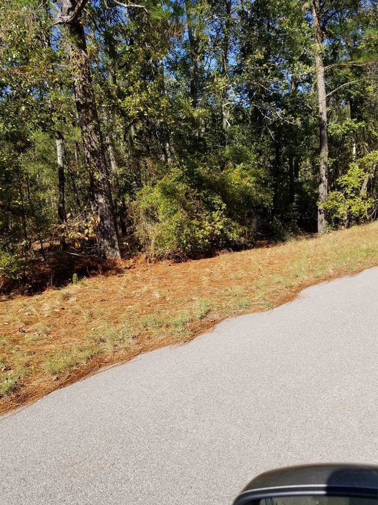 1.1 ACRE Lot 3C Griffith Lane - Photo 1