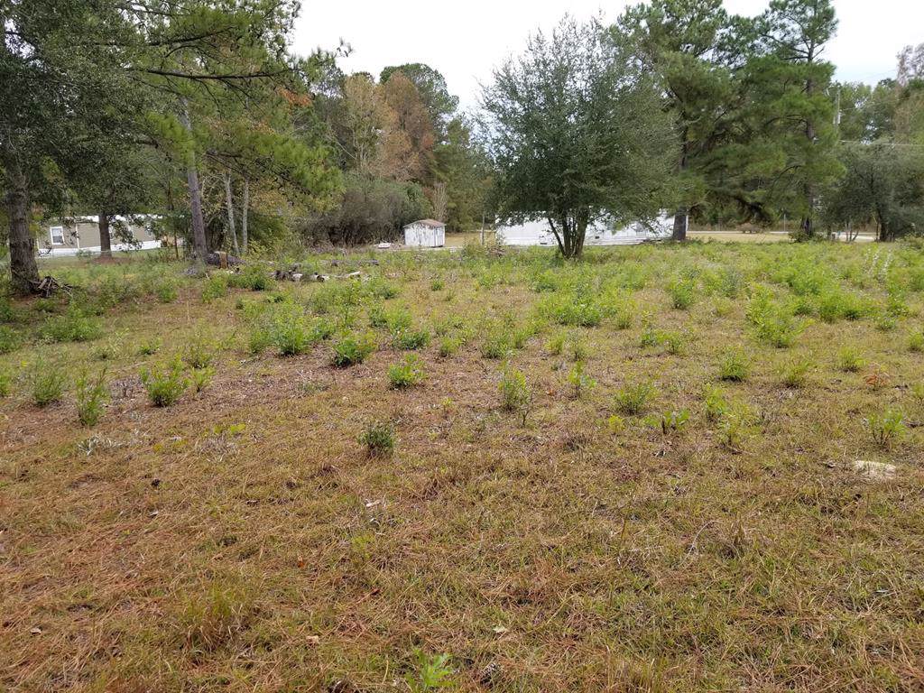 1000 Bales - Photo 1