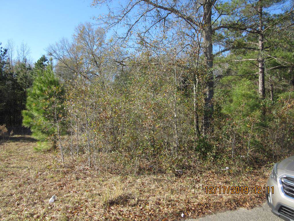 .26 AC Roosevelt Street - Photo 1