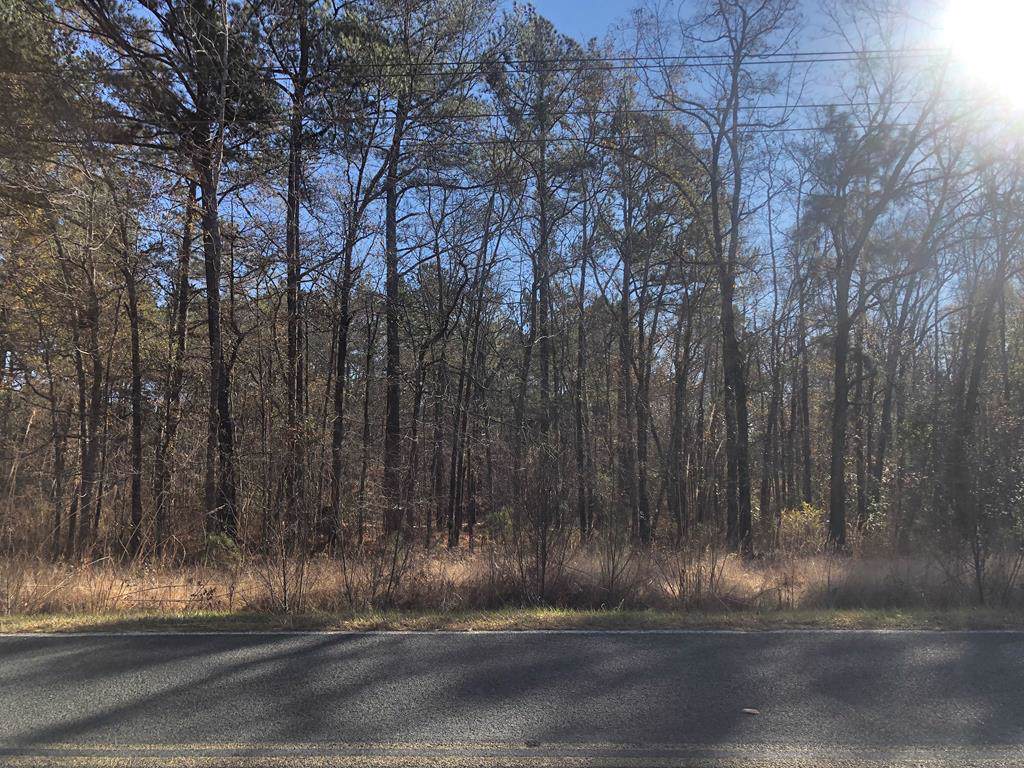 TBD Trinity Rd - Photo 1