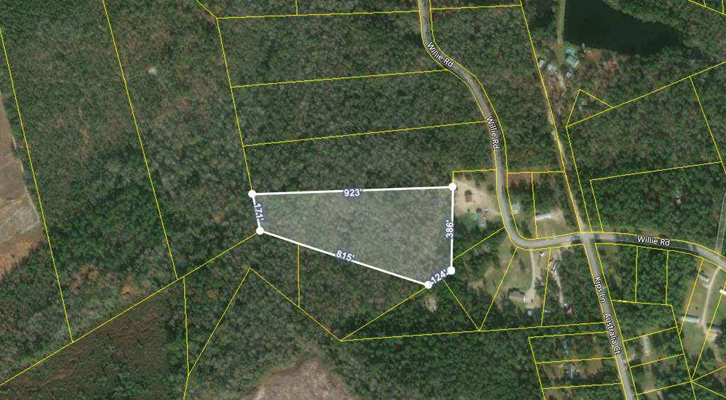 0 Willie Rd - Photo 1