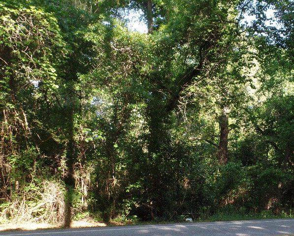 860 Lewis - Photo 1