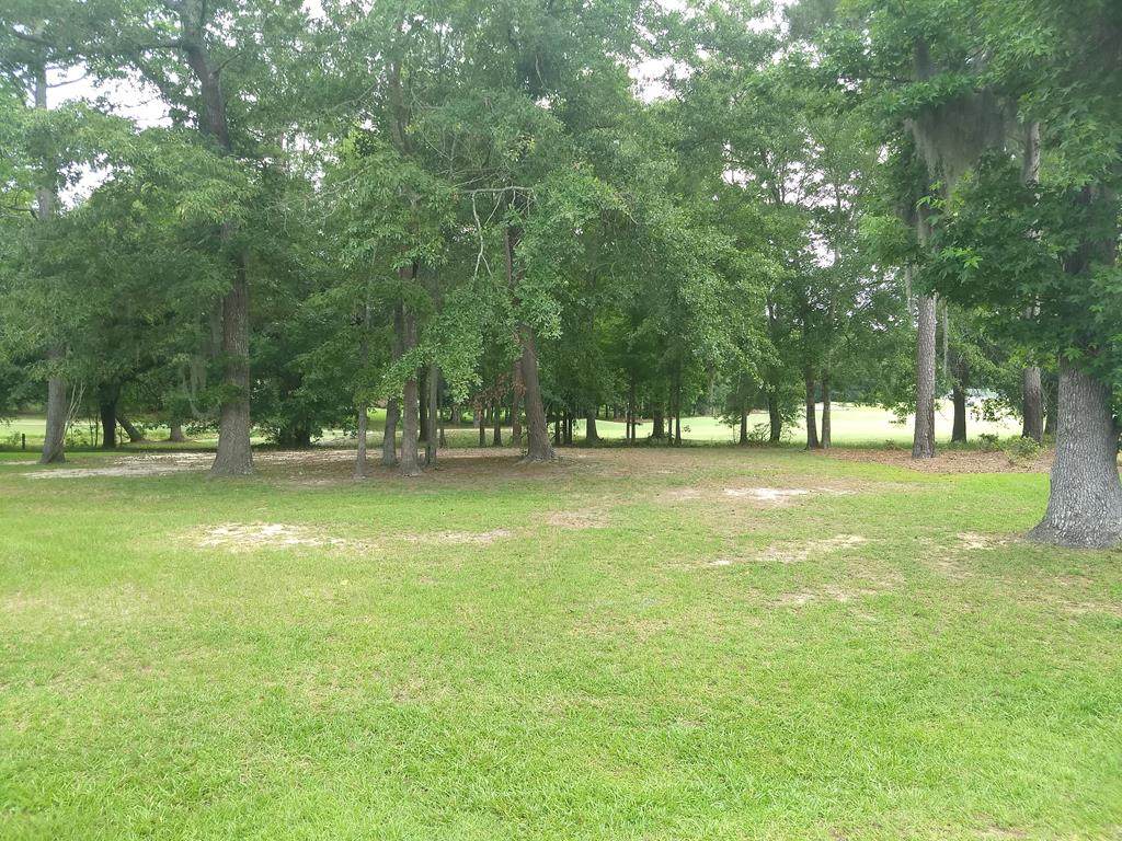 608 Fern Oak Ct - Photo 1