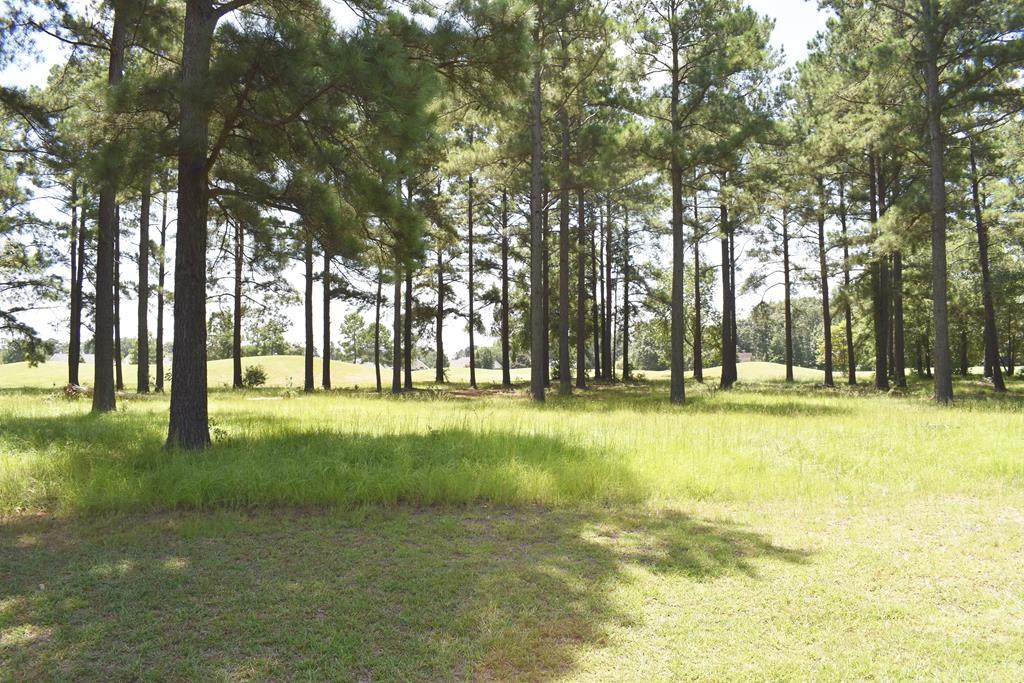 419 Pine Lake Ct. - Photo 1