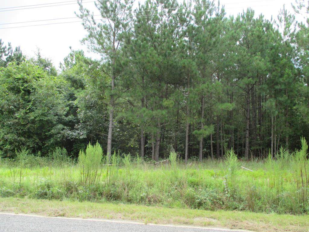 0 Lot 4 Stokes Bridge Rd - Photo 1