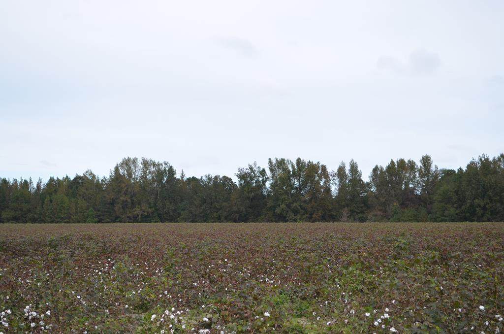 00 Gibson Rd - Photo 1