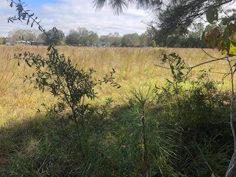 3735 Pinewood Rd - Photo 1