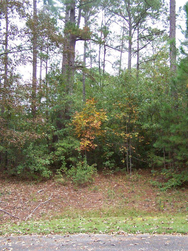0 Green Court - Photo 1