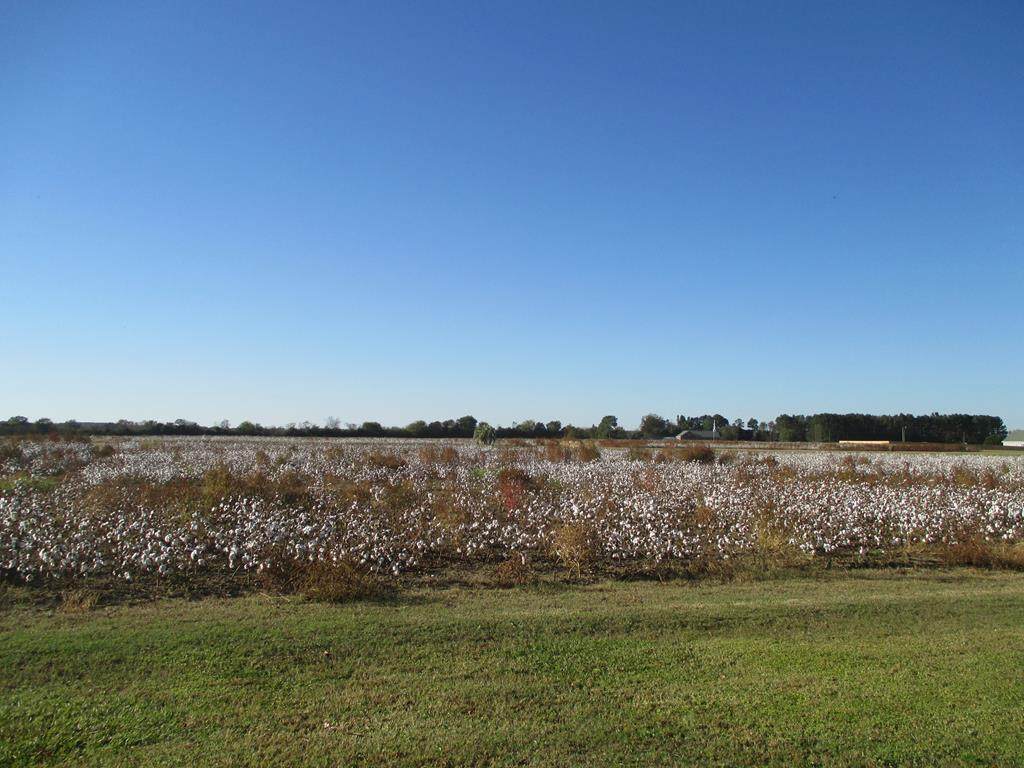 Lot A Ammons Rd - Photo 1