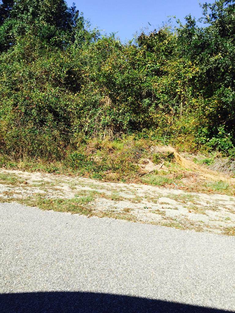 0 Wesmark Blvd - Photo 1