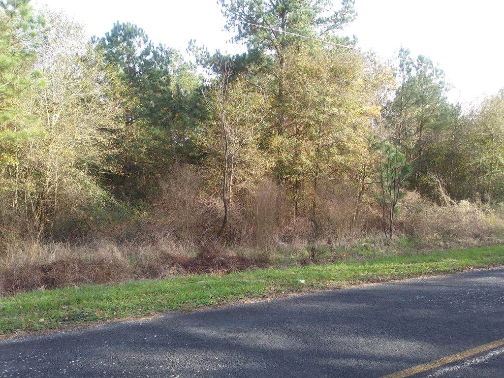 Track H Saint Johns Rd - Photo 1