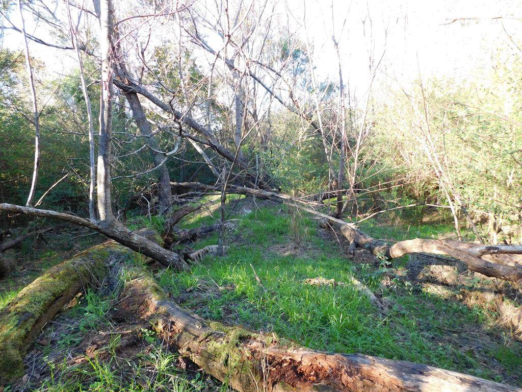 TBD Plat A64-6 Wilson Farm Tract 18 - Photo 1