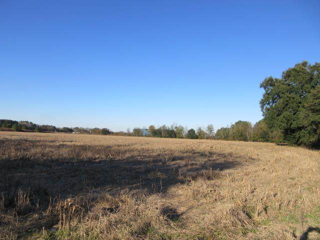 1355 Brewington West Rd - Photo 1