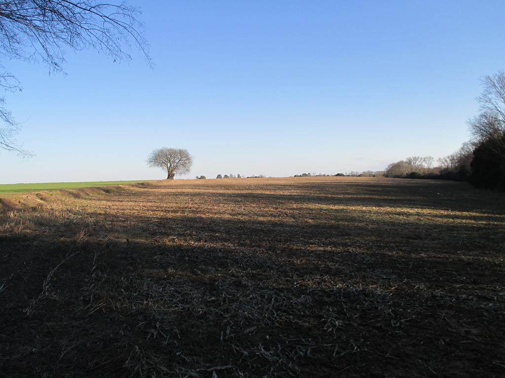 0 Peach Orchard Rd Hwy 441 - Photo 1
