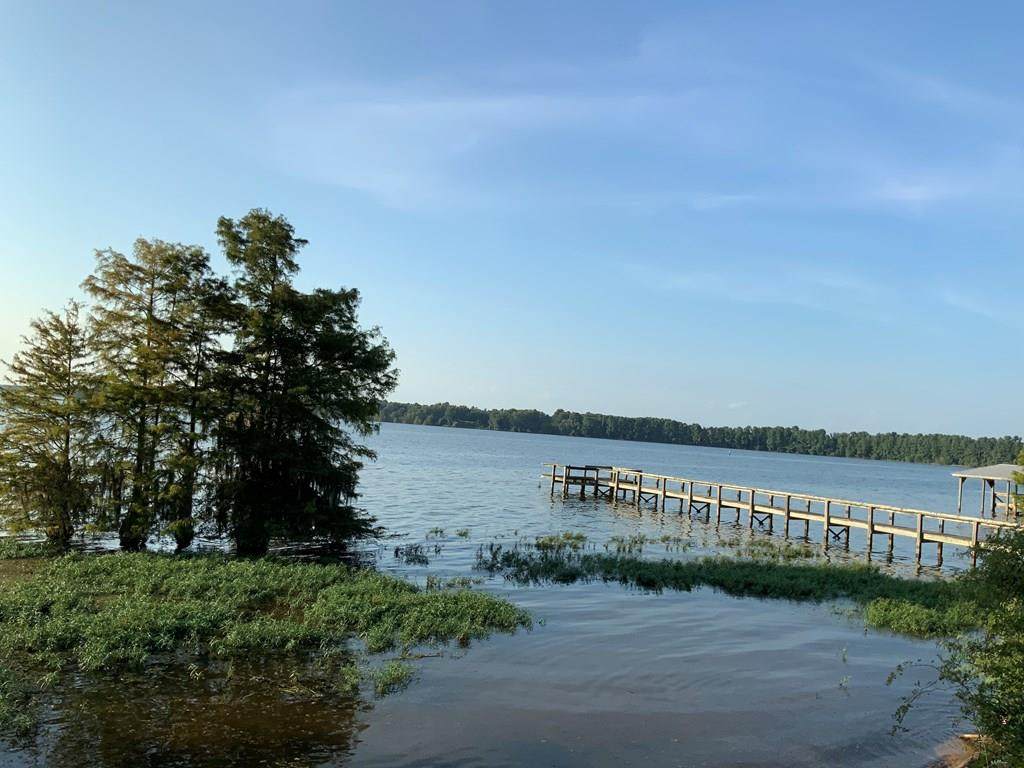 1683 Scott Lake Rd (Lot#1) - Photo 1