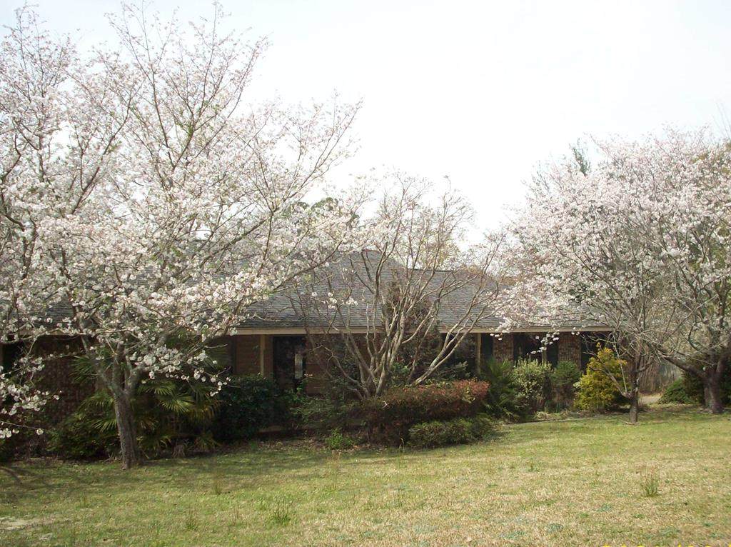 1280 Kolb Rd - Photo 1