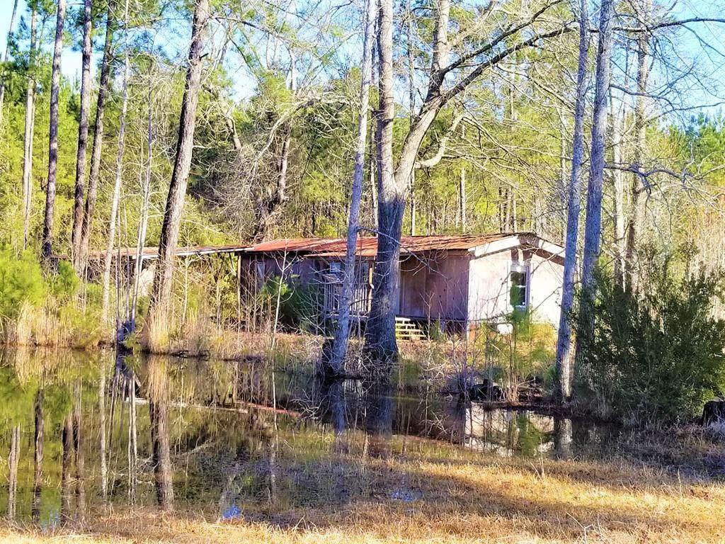 553 Haley's Way - Photo 1