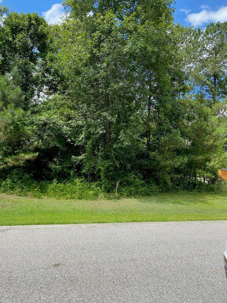 2340 Watersong (Lot 34) - Photo 1