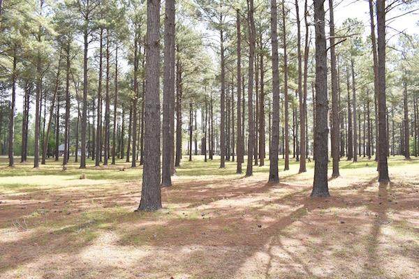 400 Pine Lake Ct. (L-2) - Photo 1