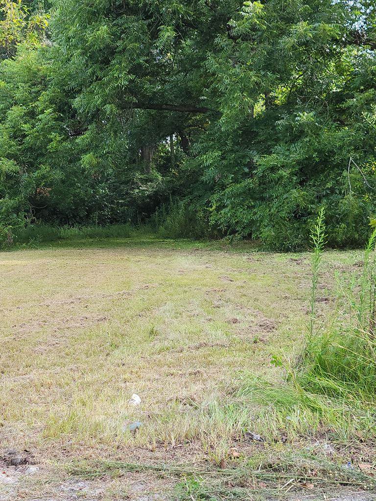 727 Warley St - Photo 1