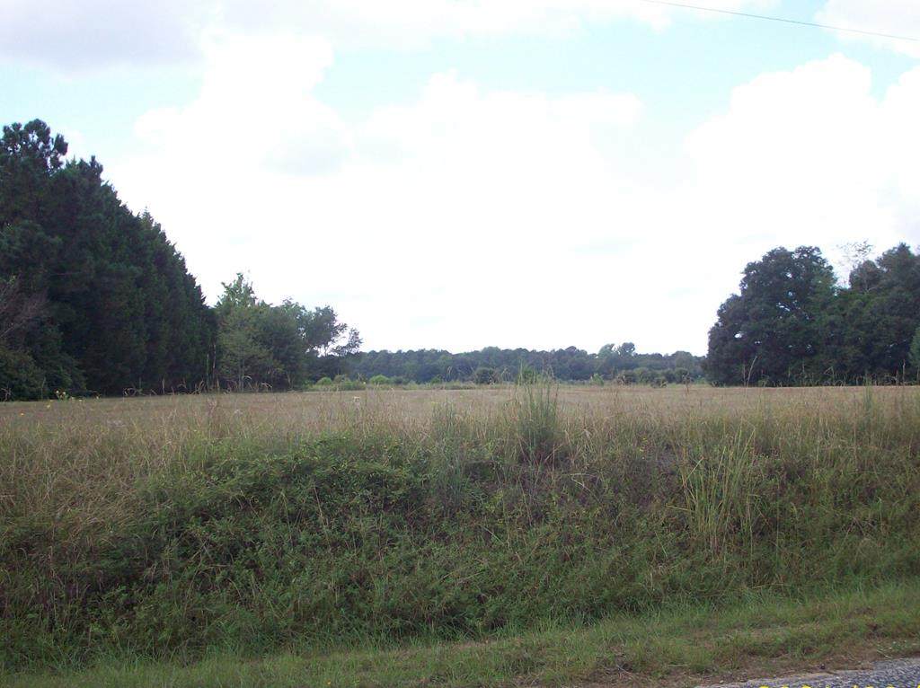 Z41-145 Idajames Lane - Photo 1