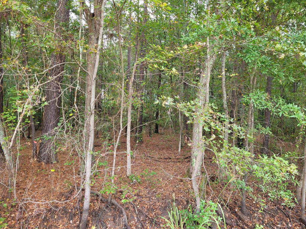 0 Trufield Dr Lot 43A - Photo 1