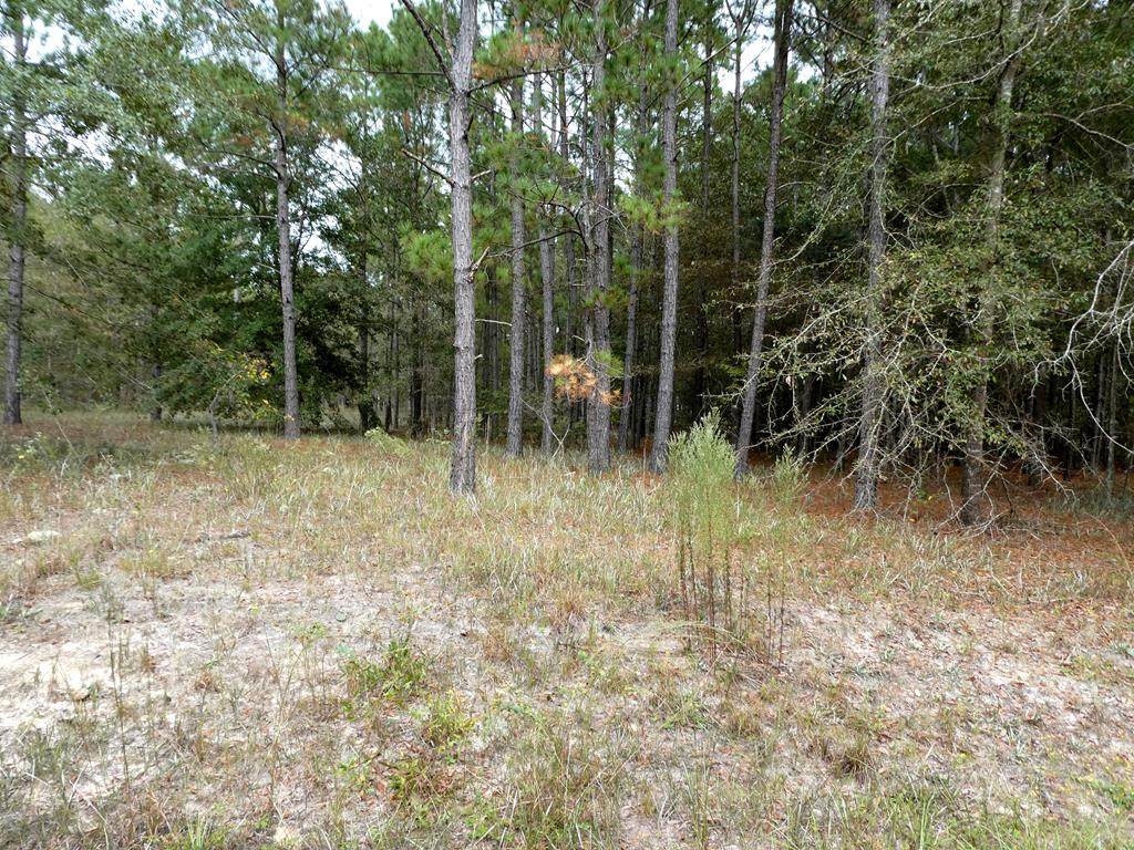 Lot 35 Cheyenne Court - Photo 1