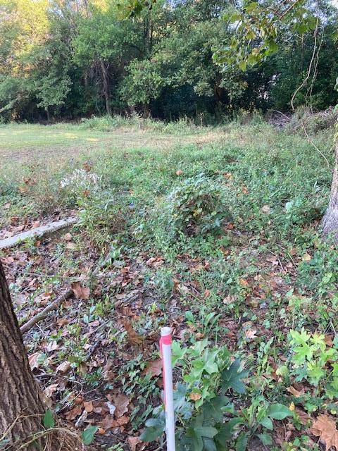 3825 Old Camden Hwy. Lot K2 - Photo 1