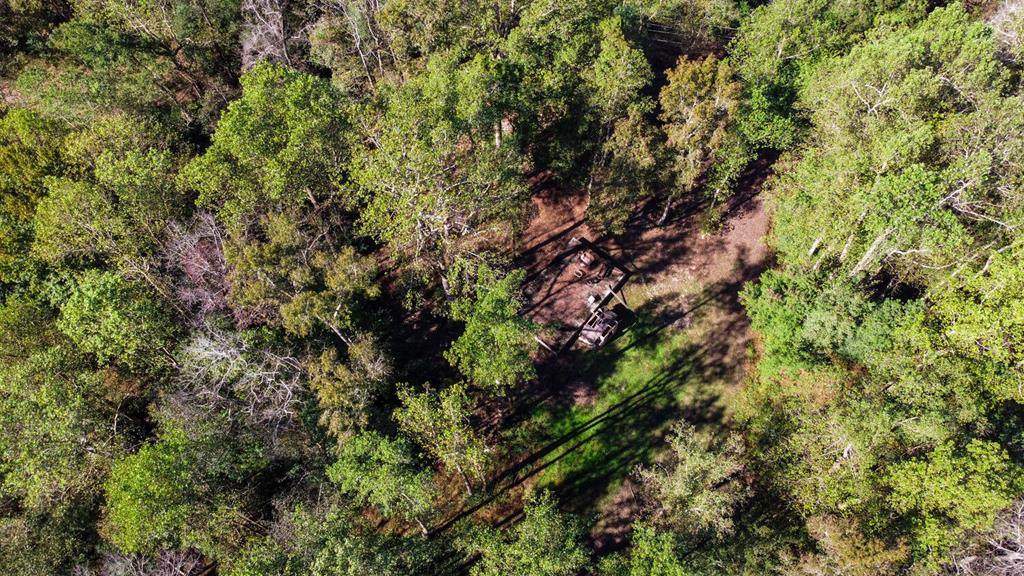 3570 Camden Hwy - Photo 1
