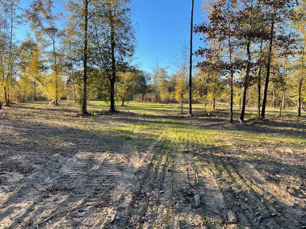 4395 Patriot Parkway - Photo 1
