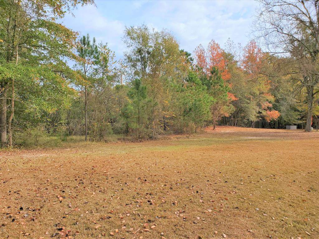 1421 James Loop Road - Photo 1