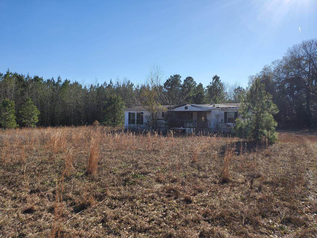 250 Bill Salley Road - Photo 1